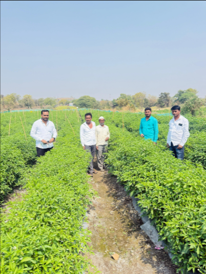 Women farmers participating in agriculture training Beed