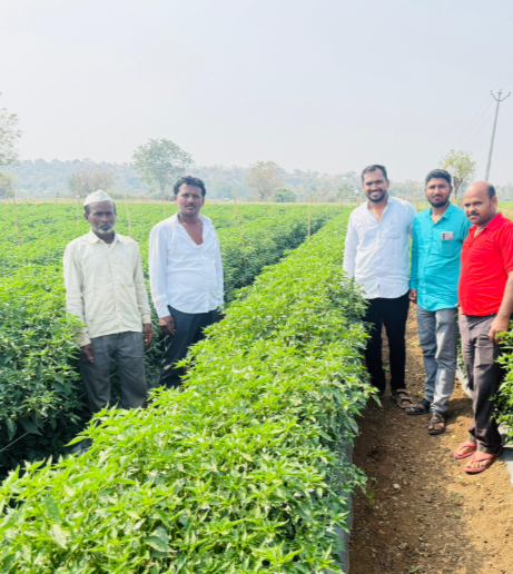 Modern vegetable farming techniques demonstration Maharashtra