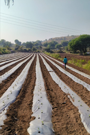 Umang Foundation farming workshop participants Beed
